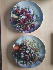 Sammelteller Von Bradford
