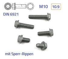 5 St. Schraube mit Flansch M10x30 10.9 Zinklamelle mit Sperr-Rippen Sperrzahn
