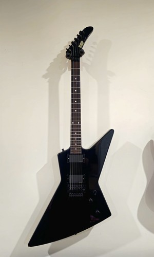 Esp exp mij custom shop - mij,