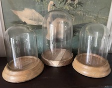 3x Glasdom Glasglocke shabby Stolp für Präparat Uhr Glassturz Holzsockel Sockel
