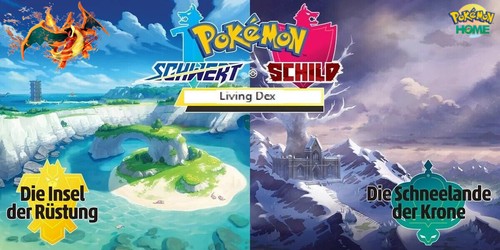 Pokémon schwert schild - 🔥,