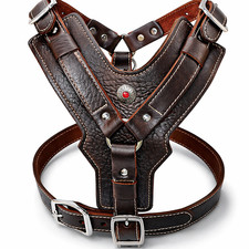 Hundegeschirr Leder große