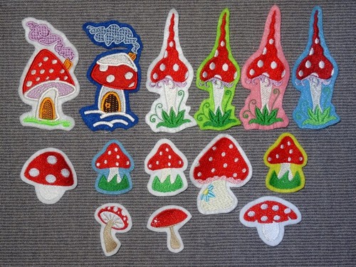 Pilz fliegenpilz - pilz,