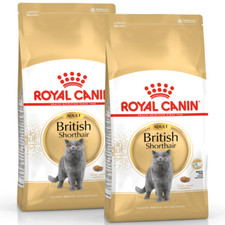 ROYAL CANIN ADULT BRITISH