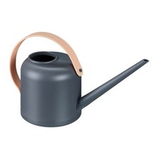 Gießkanne zimmerpflanzen