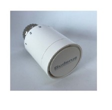  Buderus Thermostatkopf BD1-WO