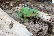 Gartenfigur Frosch lebensecht
