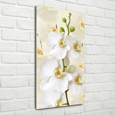 Wand-Bild Kunstdruck aus