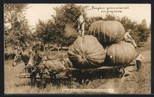 Pferdewagen mit riesigen