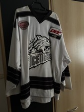 Ice Tigers Nürnberg Game