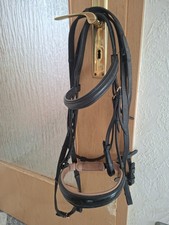 Warmblut Trense Mit Zügel