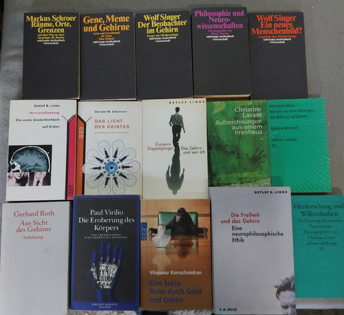 Gehirn hirnforschung - gehirn,