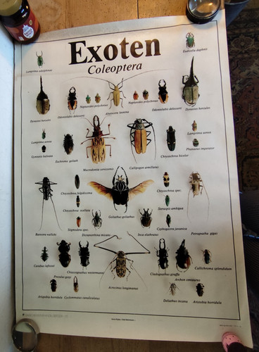 Ddr plakat lehrtafel exoten - plakat,