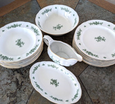 Seltmann Weiden Speiseservice Grüne Rose, 6 Pers, wie neu