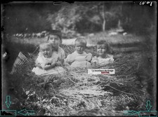 Alte Foto Glasplatte Negativ