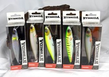 Hybrida Zanderkönig 2.0