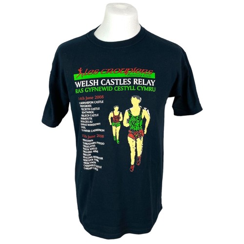 Welsh castles replay - welsh,