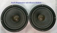 2x Sicken für JBL A608