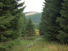 Foto 6x4 Waldritt Green Knowes\/NT2808 A Brand namens Short Grain Devel um 2009