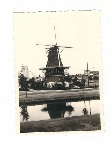 770 foto holland - 26/770, 1959