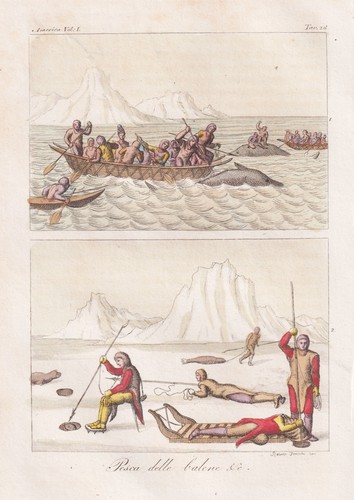 Greenland grönland walfang - grönland,