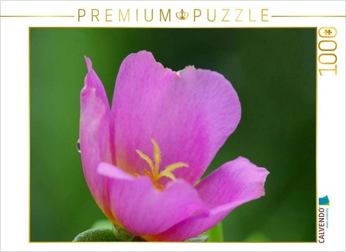 Calvendo puzzle - calvendo,
