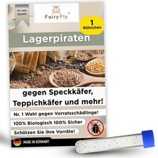 Lagerpiraten gegen