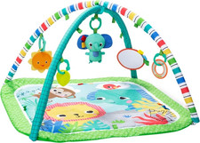 23932045-M BRIGHT STARTS Baby Gym Wild Wiggles™ FoldAway Activity Gym™