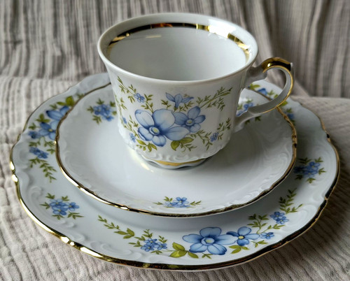 Sammeltasse mitterteich - sammeltasse,