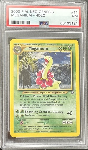 Pokemon meganium meganie - pokemon, holo