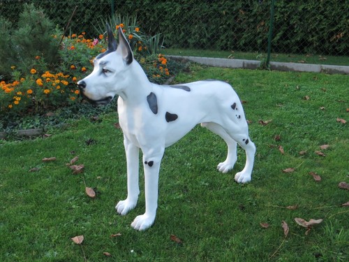 Dogge lebensgroß stehend