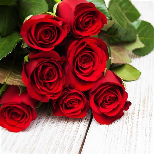 Servietten rosen rot - servietten,