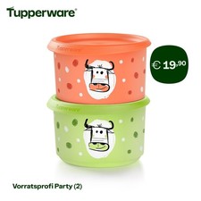 Tupperware 2x 575 ml