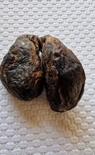 XL Voll Castoreum Drüsen/100%