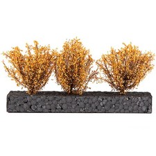 3x Hohe dunkelgelbe Büsche