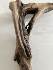 Treibholz/ Treibgut/ Skulptur/Wurzel/Baumteil/Ast