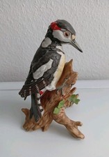 Goebel Buntspecht