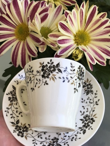 Lomonosov porzellan espresso - porzellan,