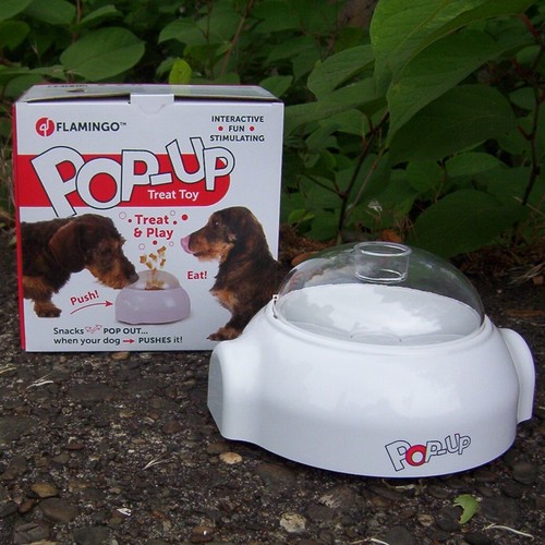 Hundespielzeug pop treat - pop, up