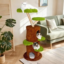 Kratzbaum Kletterbaum
