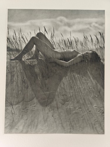 Willy zielke frauenakt - willy,