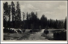 Bayrischer Wald Postkarte