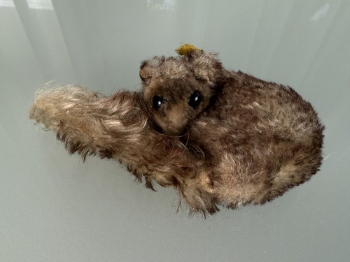 Steiff tier stofftier - steiff,