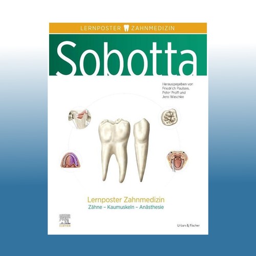 Sobotta lernposter zahnmedizin - sobotta,