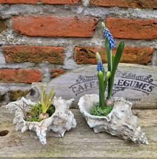 2er SET MUSCHEL PFLANZKASTEN