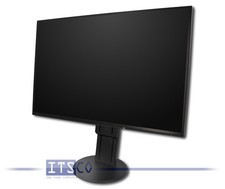 24" TFT EIZO FLEXSCAN