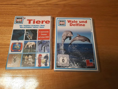 Was ist dvd - ist, /