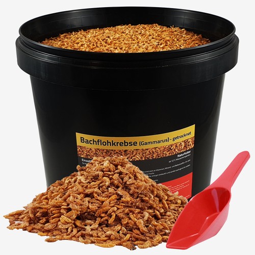 Liter bachflohkrebse - liter,