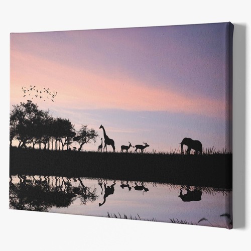Tansania nature shadow - tansania,