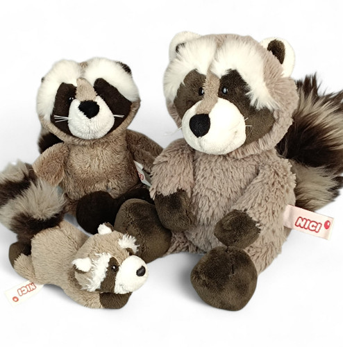 Nici waschbär raccoon - nici,